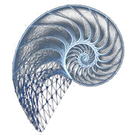 fibonacci recursion
